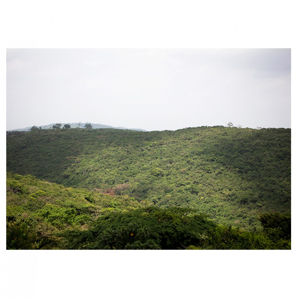 Landscape photograph of green hills and grey skies.
