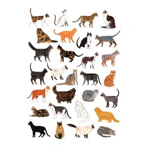 Home wall art - cats illustrated print by James Barker