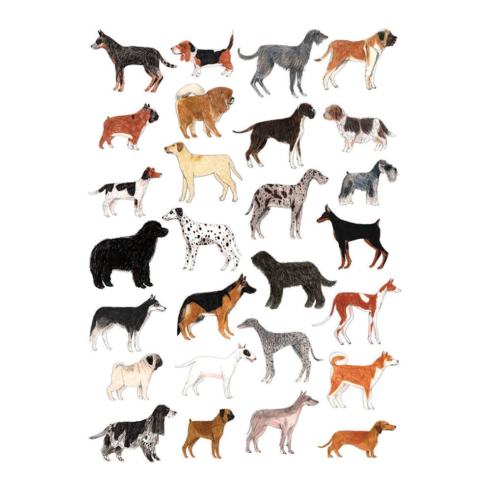 Home wall art - dogs illustrated print