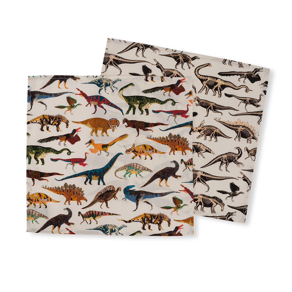 Dinosaurs and Fossils - Pocket Squares/Handkerchiefs Set