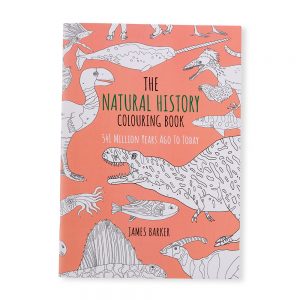 Natural History Colouring Book with dinosaur print