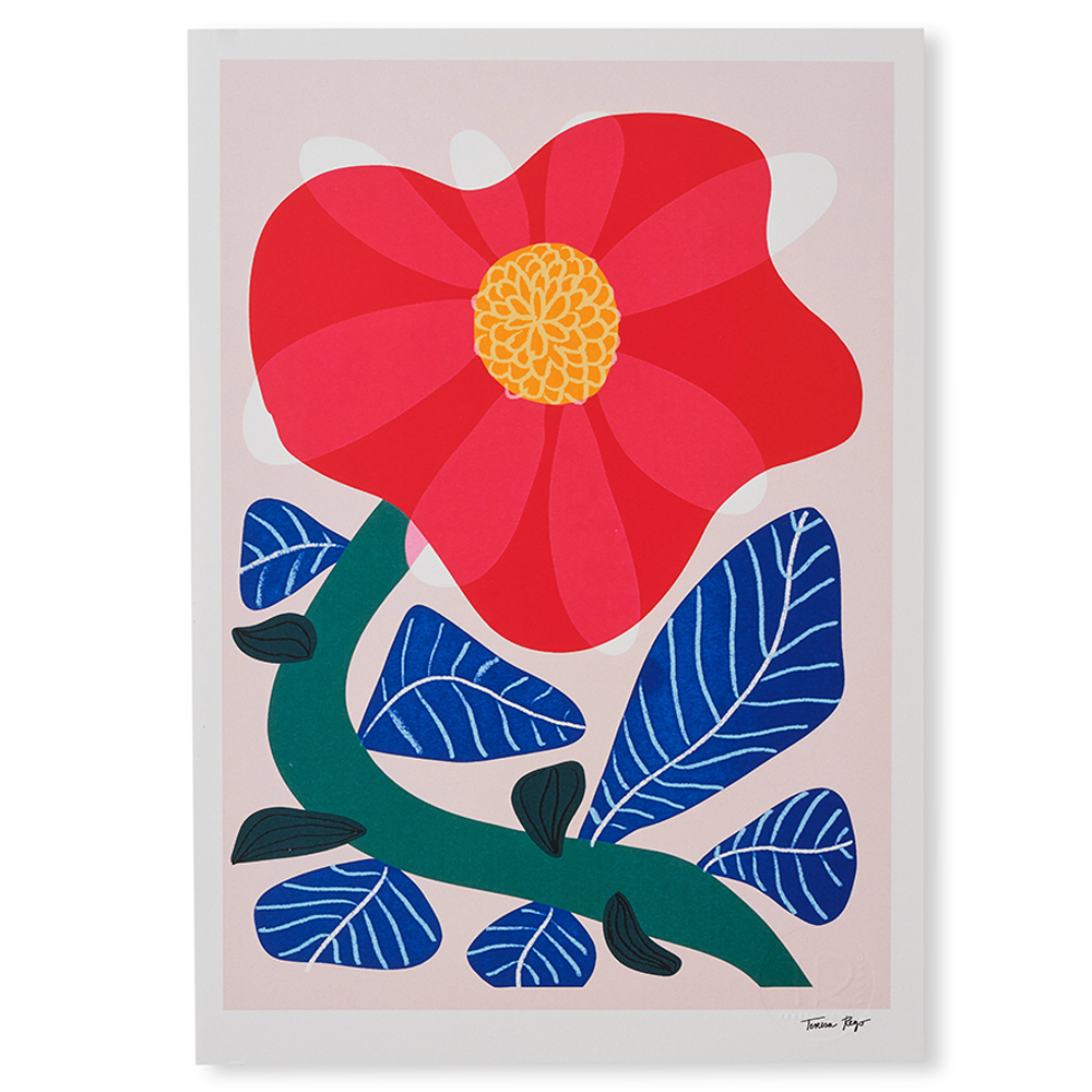 Camellia Print A4 by Teresa Rego