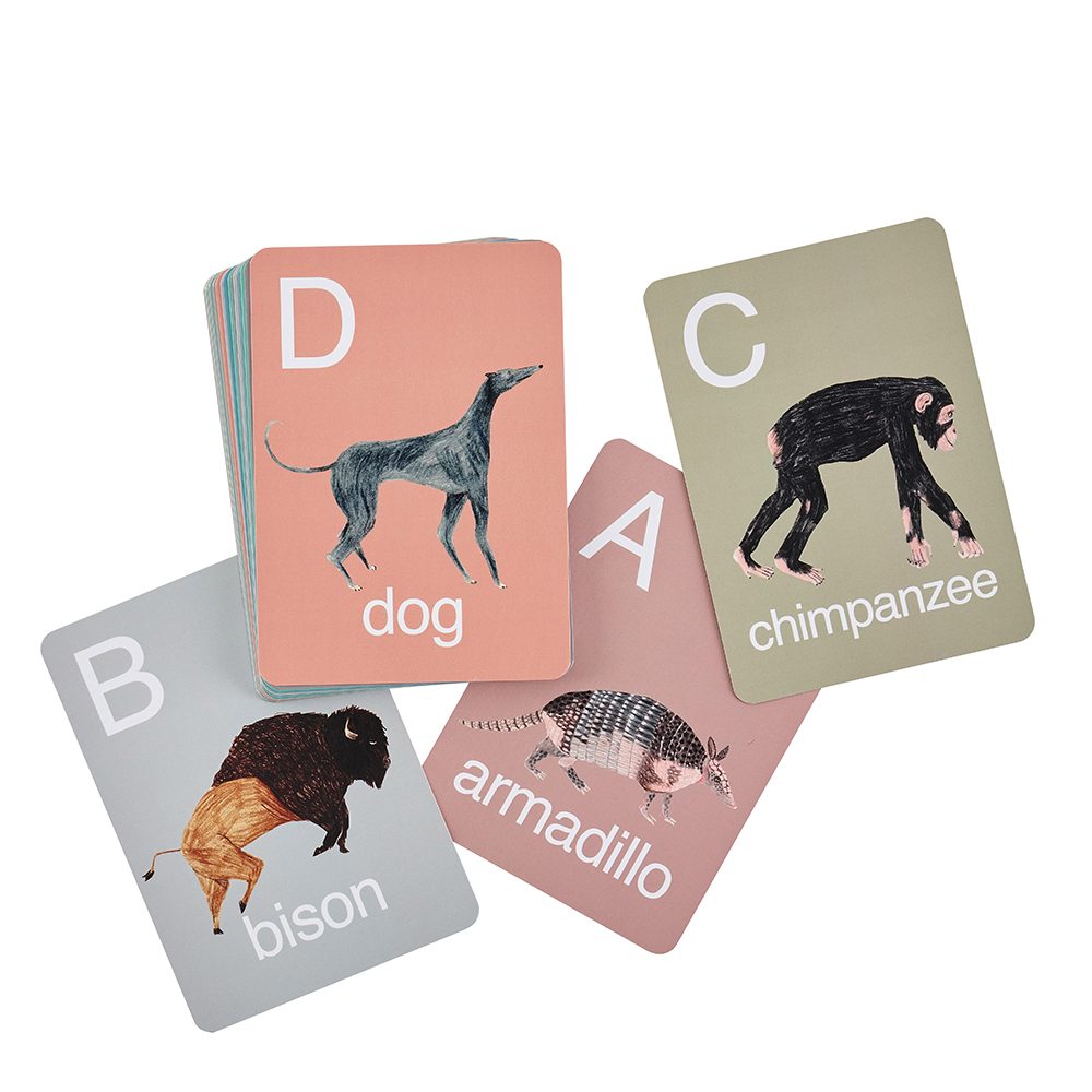 Unusual gifts for kids - animal flash cards