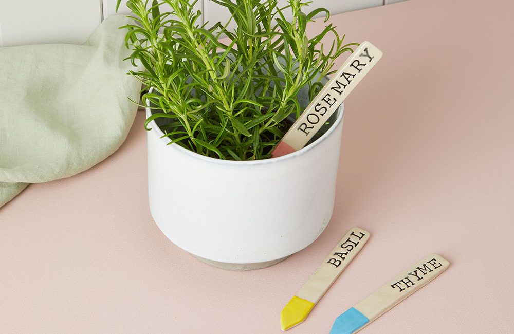 Herb ceramic labels, for rosemary, mint, thyme and basil. Three of the labels are on a desk, whilst the rosemary label is sticking into a rosemary potted plant.