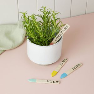 Herb ceramic labels, for rosemary, mint, thyme and basil. Three of the labels are on a desk, whilst the rosemary label is sticking into a rosemary potted plant.